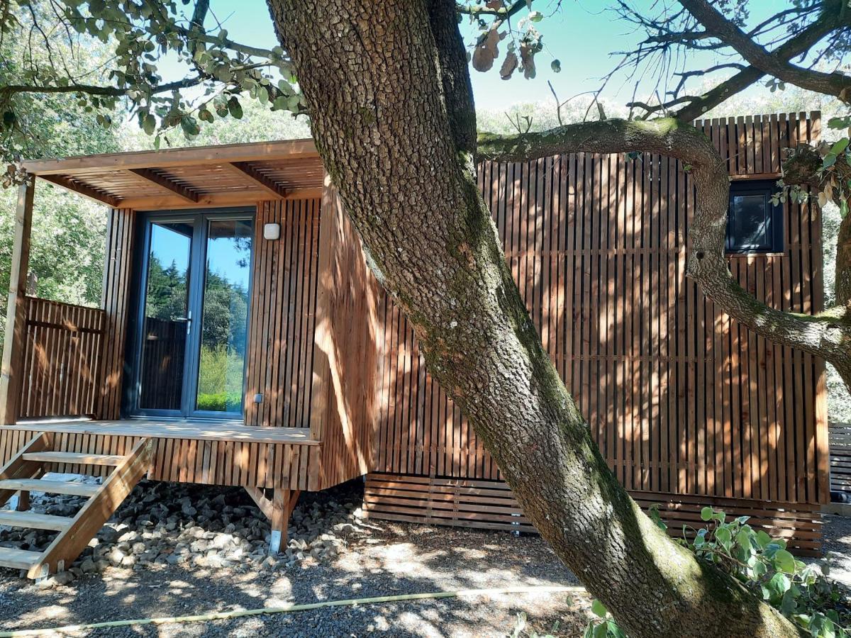 Le Lodge Des Chenes Brousses-et-Villaret Eksteriør bilde