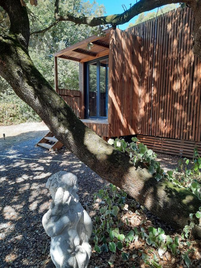 Le Lodge Des Chenes Brousses-et-Villaret Eksteriør bilde